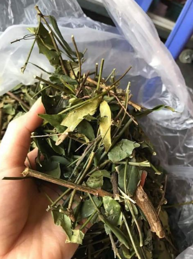 Chè vằng sẻ khô tự nhiên